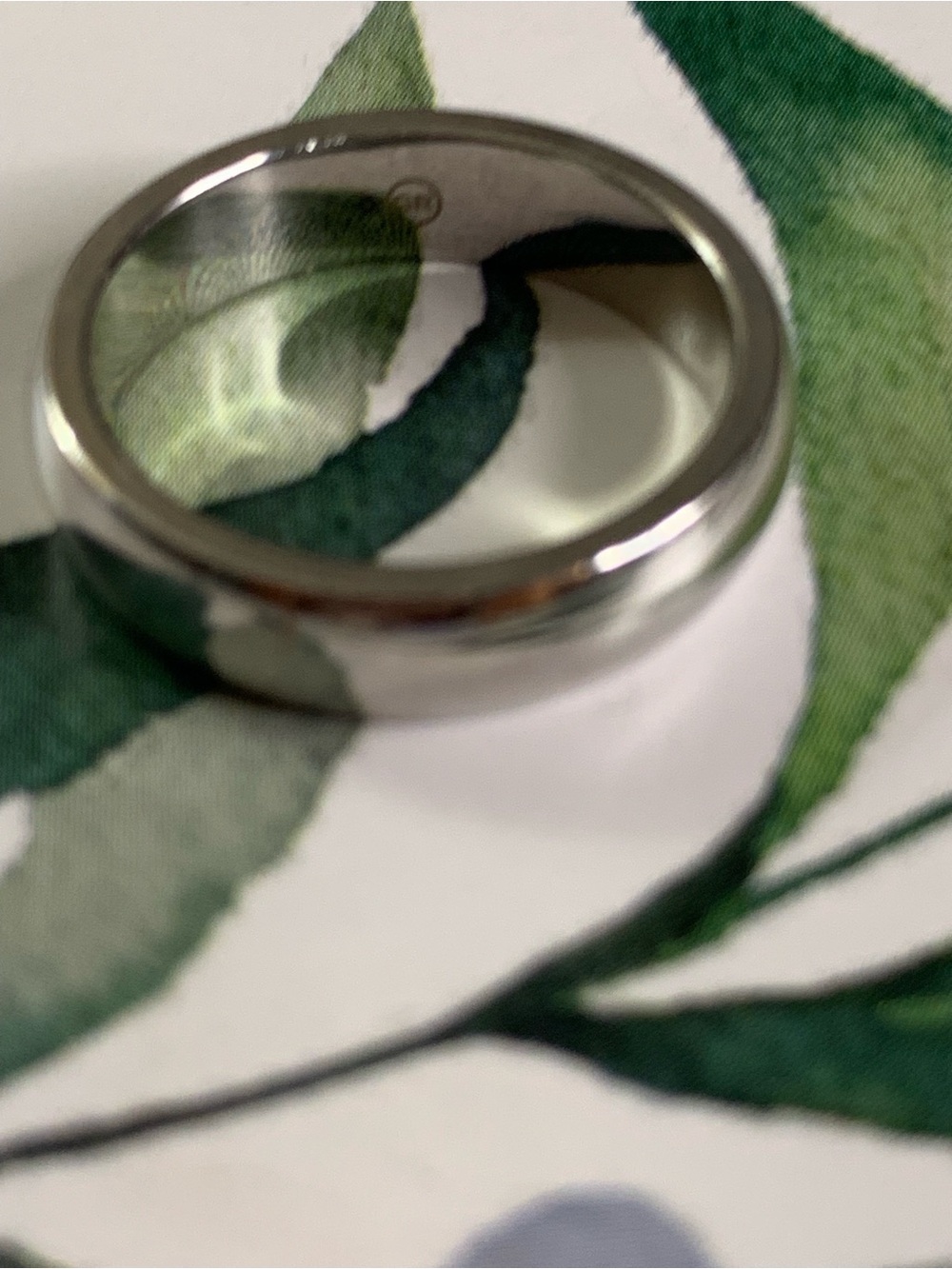 Polished Silver-Titanium Metal Band Ring